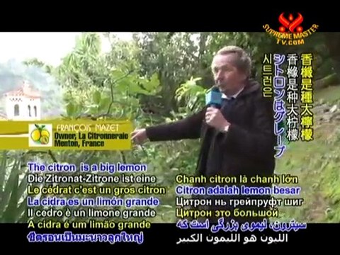 Gifts of God: The Lemon Festival of Menton, France - P1/2