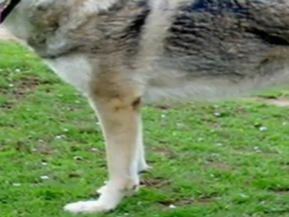 OURAL OURALOU (Jean FERRAT)