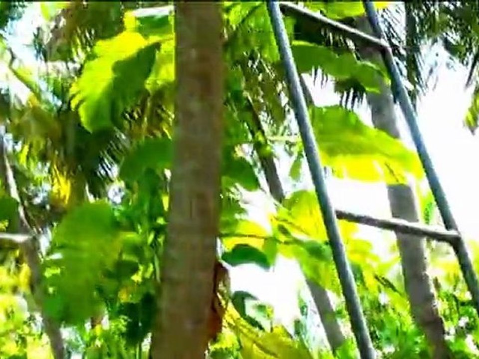 Maldives / Kandholhu (Part 5 - From the Kandholhu island  to the holiday home)