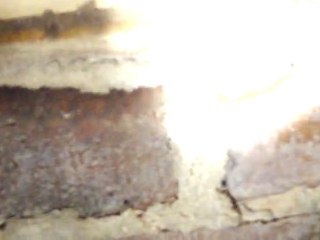 Can You Tell Where the Termites Are