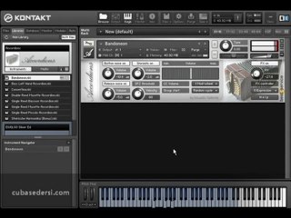 Best Services - Accordion