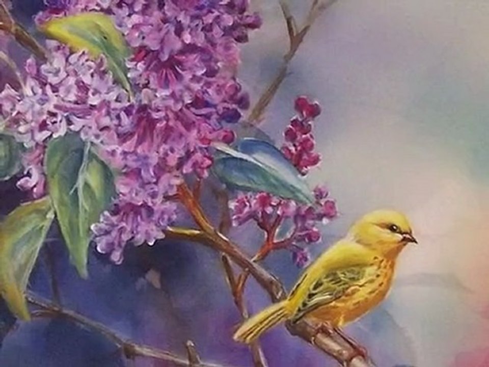 amante mia Sofia Ortega Cruz