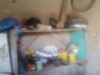 zorda sidi alwan mahdia tunisie une ferme