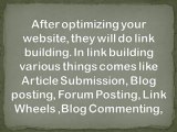 Search Engine Optimisation for Newbie