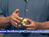 Find the best Raleigh chiropractors & Save 50%on your care!