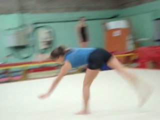 GST- Progression 2010-2011 Lisa