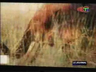 Présentation d'un film sur l'histoire de la République du Congo