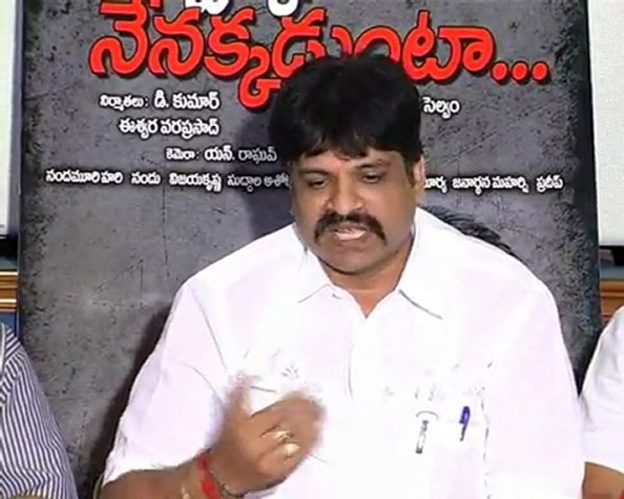 Nuvvekedunte Nenakkadunta Movie Press Meet