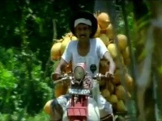 Alankuda Beach Beach,  Dolphin Beach Hotel, Whale watching Sri Lanka1