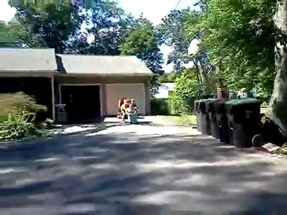 Skateboard mal anders