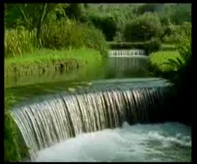 Hazreti Nuh'un duaları