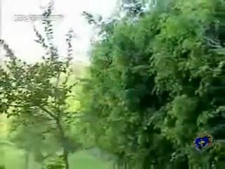 Mensagem de Paiva Netto - Quem faz de Coração, faz com Competência!