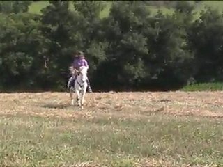Galop en cordelette, champ de blé