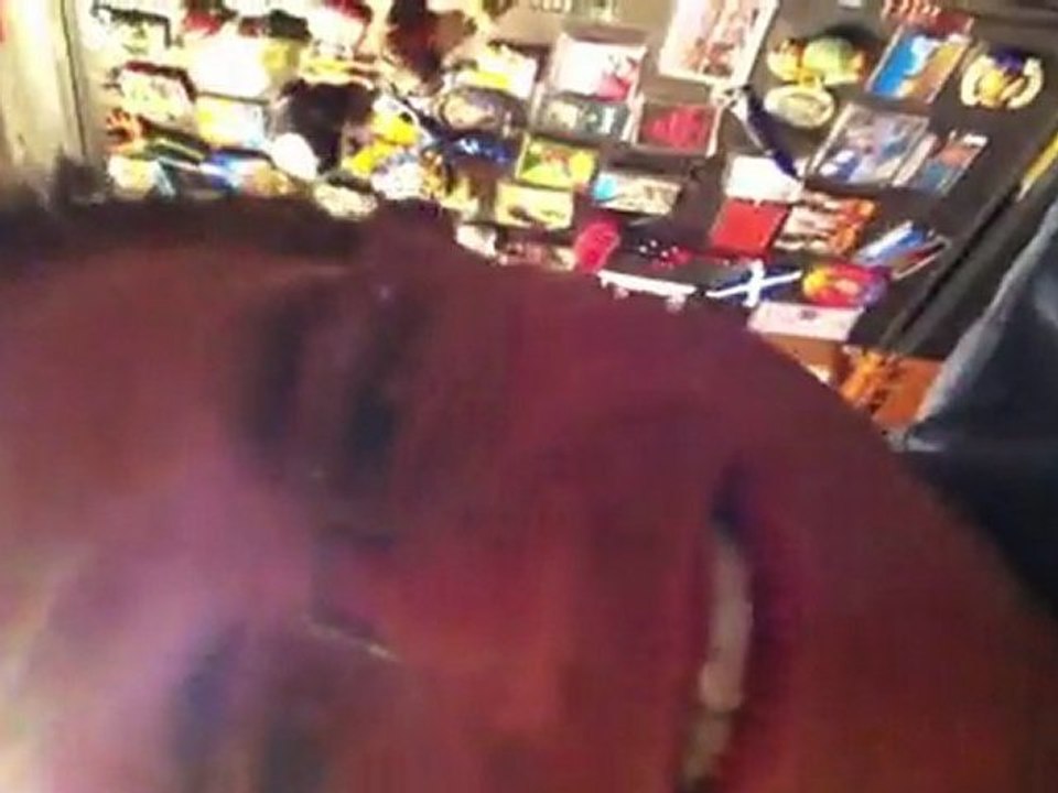 Dane Gets Shaved