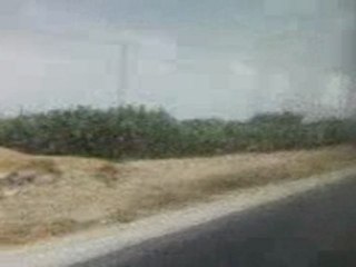 zorda sidi alwan mahdia tunisie (1)