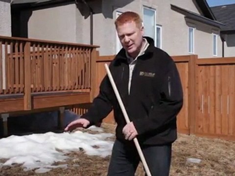 Lawn Damage from Voles - Landscaping Winnipeg