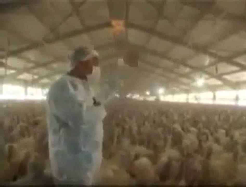 Discours du new Leader Rebel de l'OTAN en Libye Colonisée