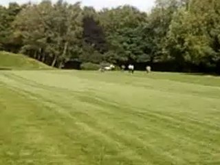 Galop dans la plaine.