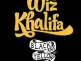 DJ SPICY Vs WIZ KHALIFA - BLACK & YELLOW (REMIX 2011)
