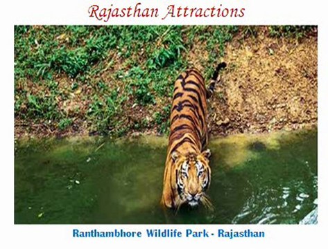 Rajasthan Tourism India - Visit Famous Tourist Attractions on Rajasthan Tour