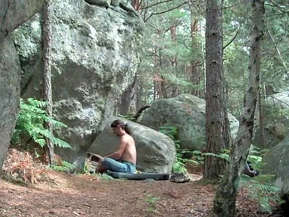 Dose de Bleau - Isatis2011