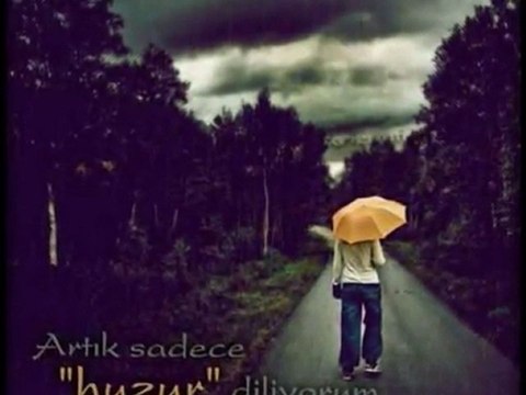 murat gögebakan keske tanimasaydim Seni