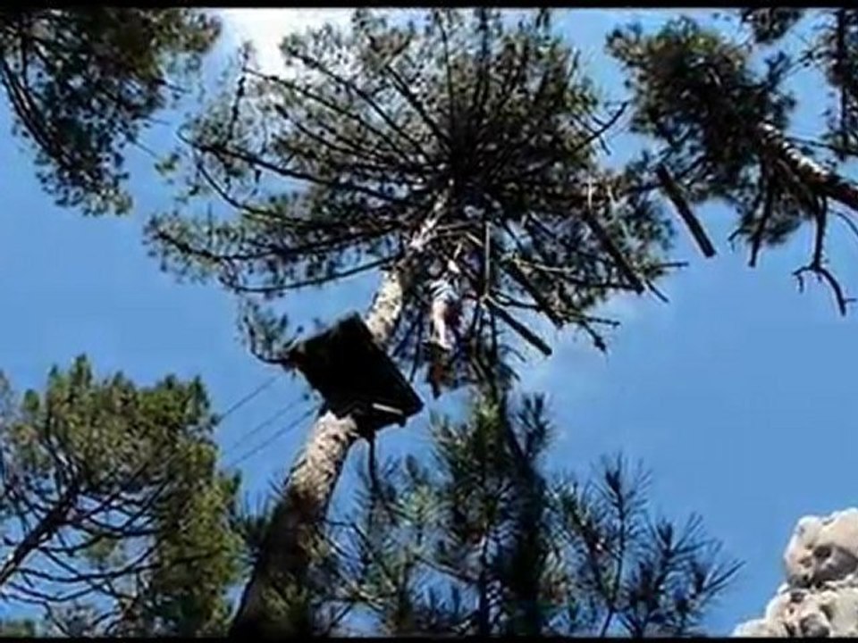 Accrobranche Corse 2011