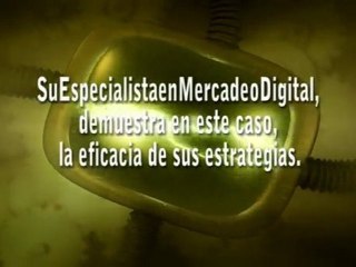 Servicios de mercadeo digital para aseguradoras