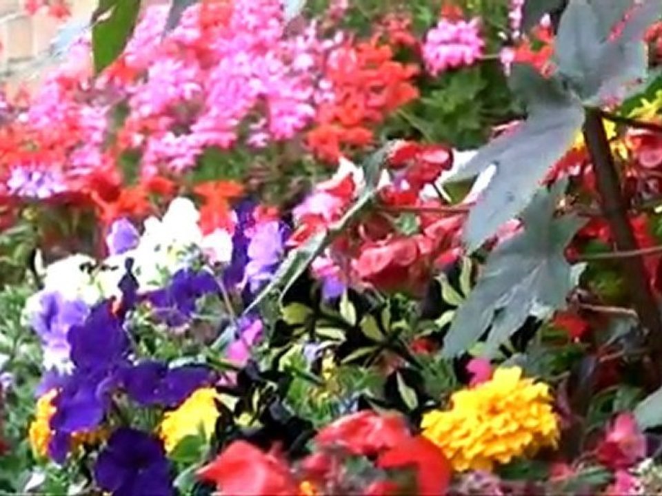 passage au Cateau du jury des maisons fleuries