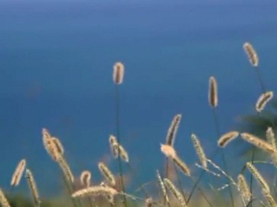 My Video