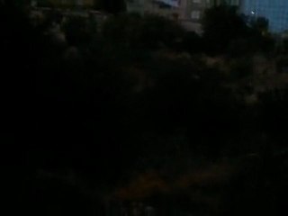 sabaha karşı ağustos böceği ve kuş sesleri