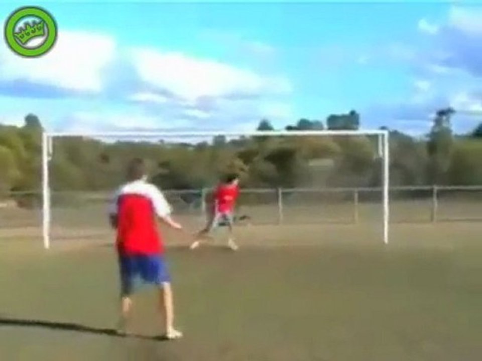 andernfalls Teppich Ratten