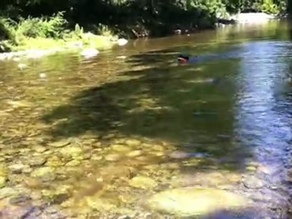 Reprise entrainement BERNIE Rapport Eau