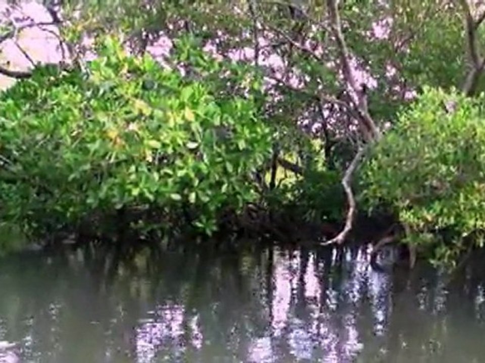 Mayotte : le lagon