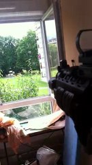 sig 556 magpull