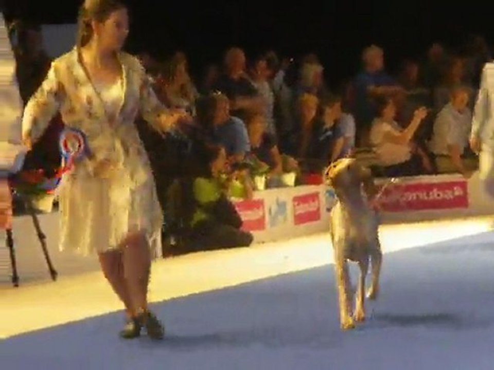 Entrée en scène de Mr Goubie Juge du 7ième Groupe