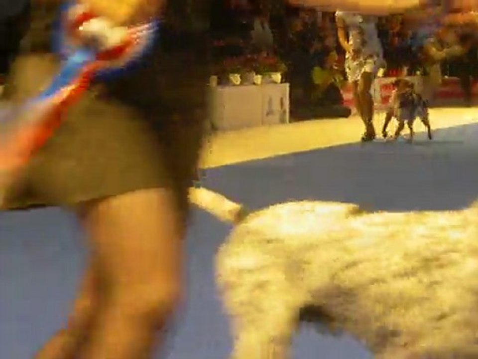 Mondiale  2011