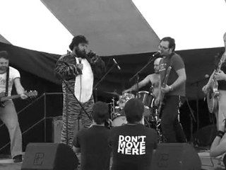 The Contact High Five - Handsome Hans (live)