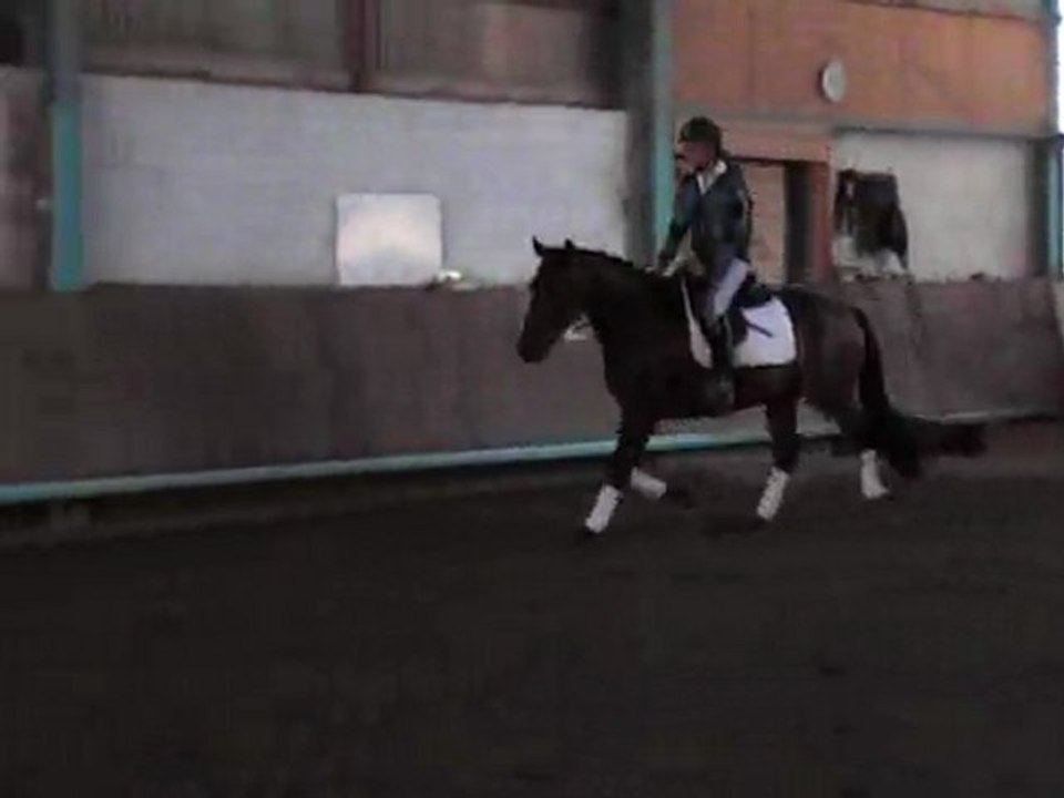 Tatou saut2