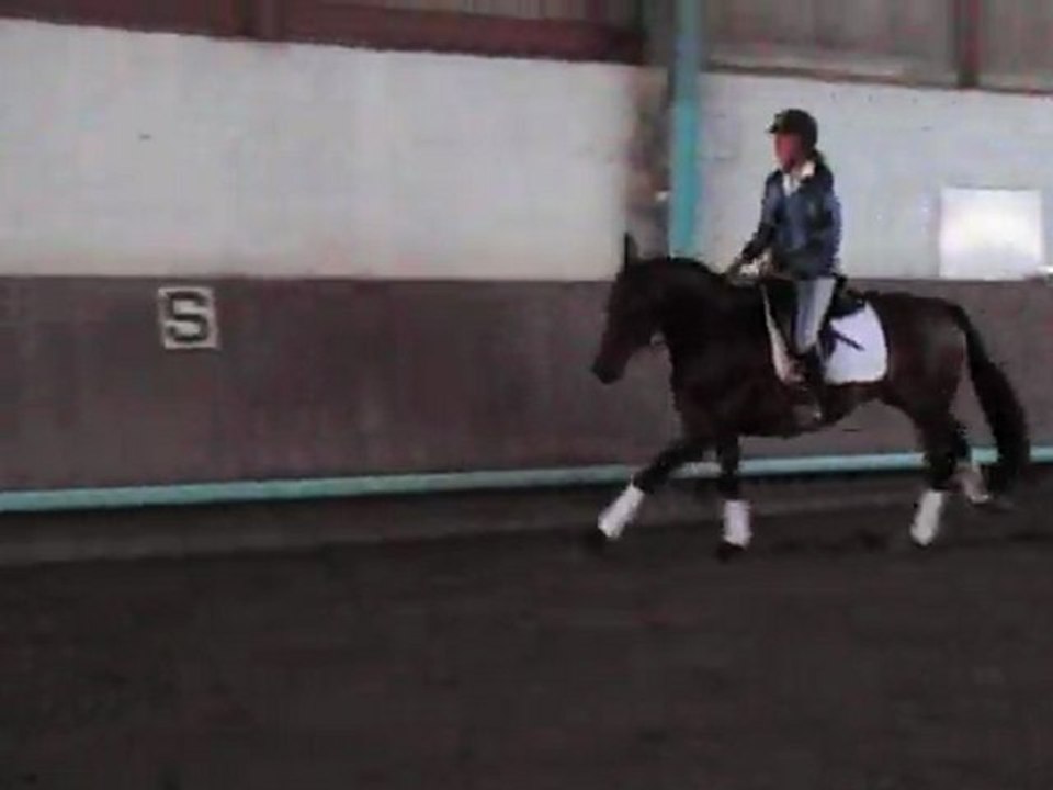 tatou saut galop