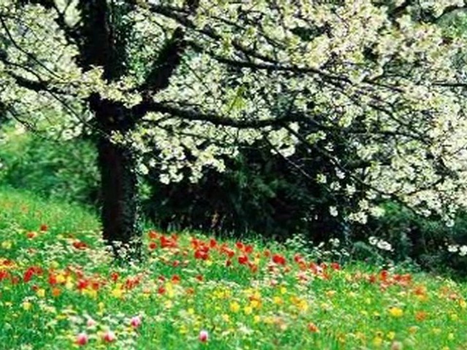 ALİ EKBER EREN..BEN AKLIMI GÖZLERİNE TAKMIŞIM