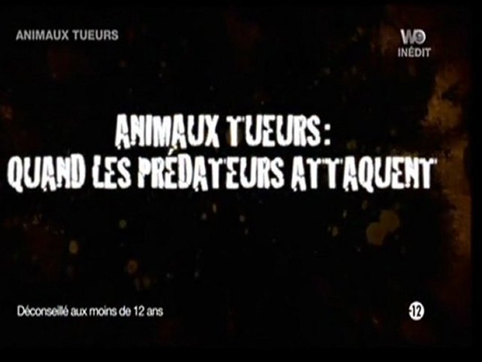 Animaux tueurs, les prédateurs de la savane (1)