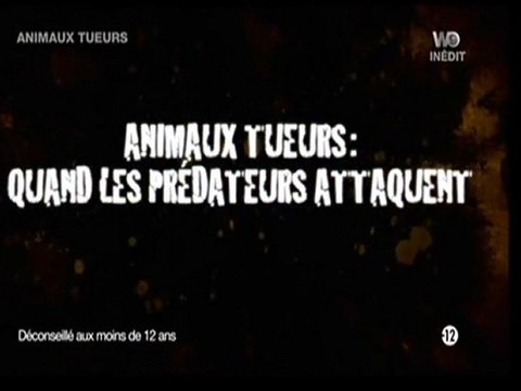 Animaux tueurs, les prédateurs de la savane (1)