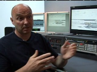 Polar explorer comments on Norway bear attack