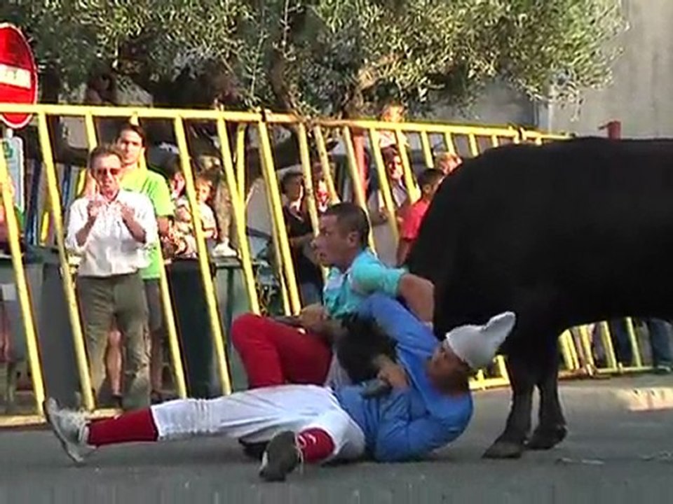 Journal des fêtes votives du 1108 : Marguerittes