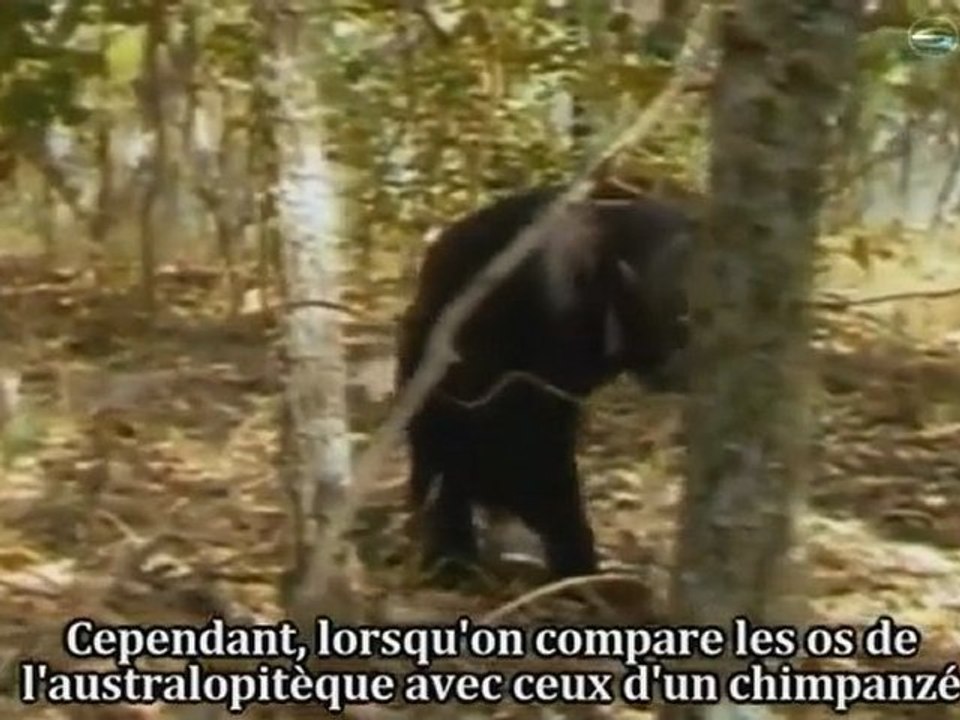 The Signs Le Film PART 7/8 {Chapitre 1 : Les Signes de L'Existence de Dieu}