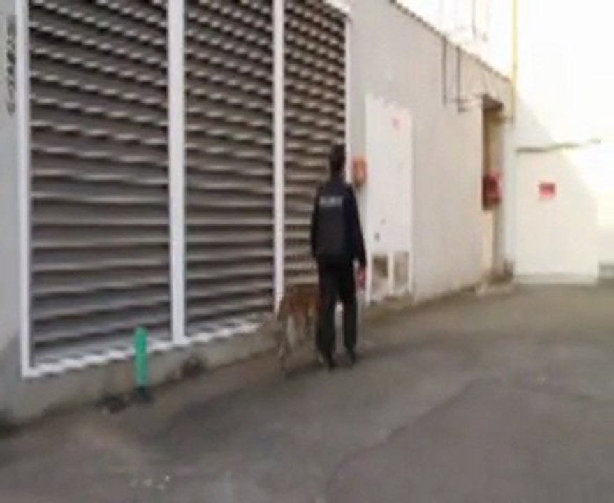 2011-02-11_securite_Ergonn