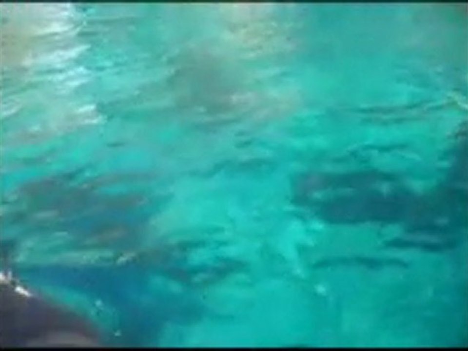 Jet Ski in Corsica