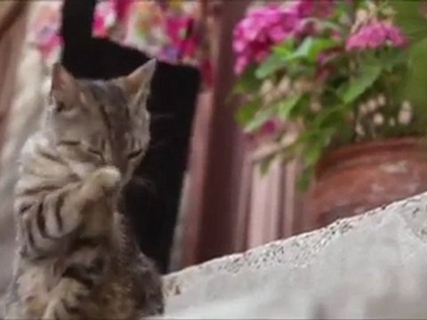 Selda Bağcan - Erzincanlı