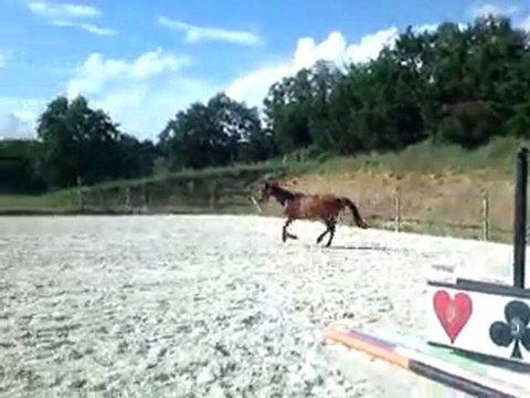 Séance du 5 août- saut en liberté 1